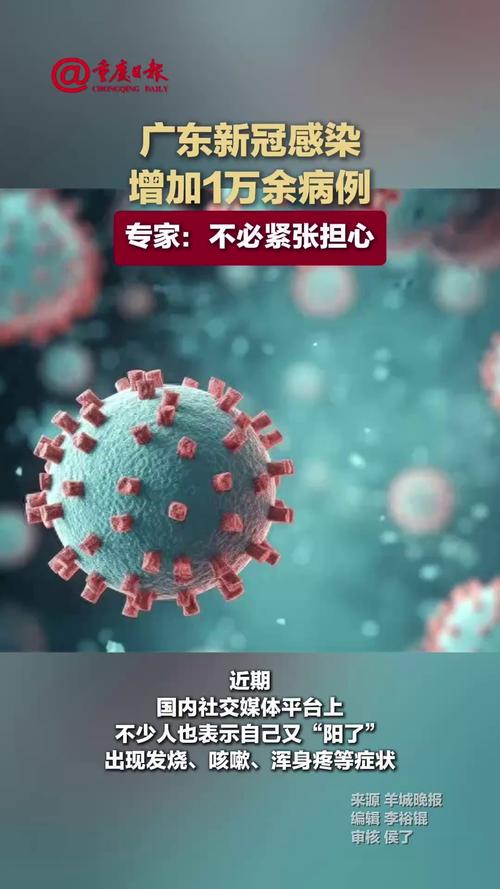 新冠疫情下广东揭阳最新动态与防控