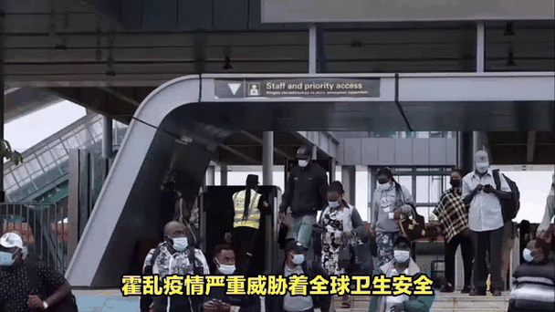 霍乱疫情最新动态全解析