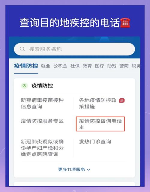 胥口疫情最新动态全览