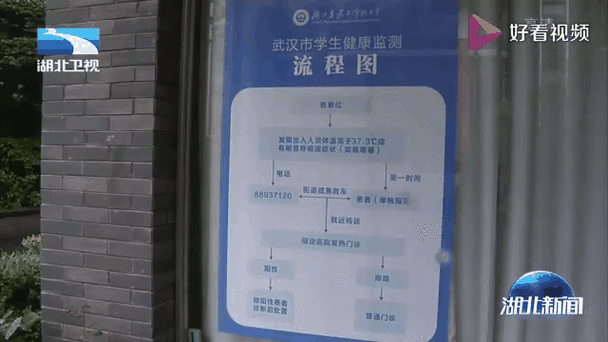 湖北省疫情最新动态全解析