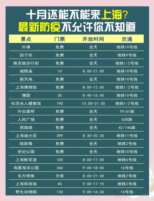 上海疫情数据最新查阅指南全解析