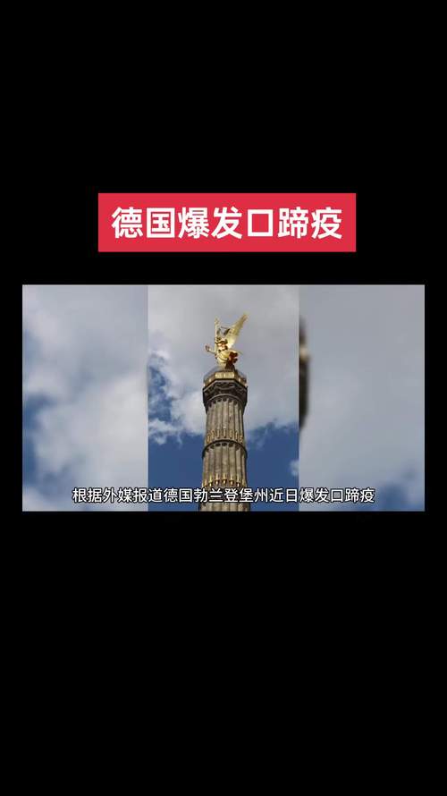 德国疫情最新，数据背后的防控与全民防线