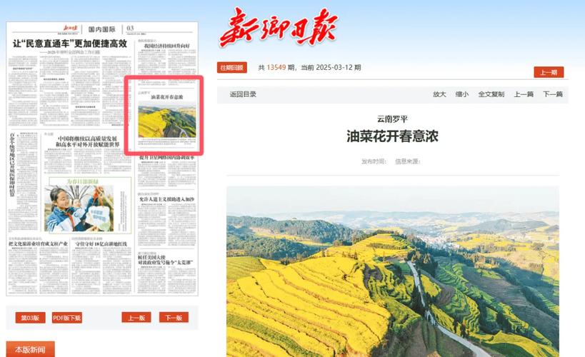 罗平疫情最新数据与防控动态
