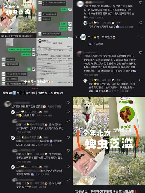 最新实时疫情蜱虫数据大揭秘