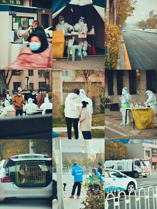 哈市最新疫情通报来袭