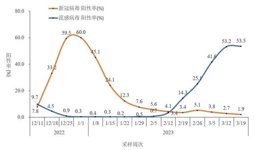 疫情数据同比，最新防控成效与挑战