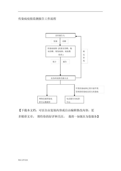 最新疫情数据检测全流程揭秘