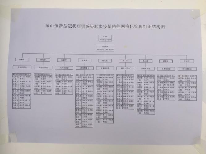 东山疫情数据最新全解析