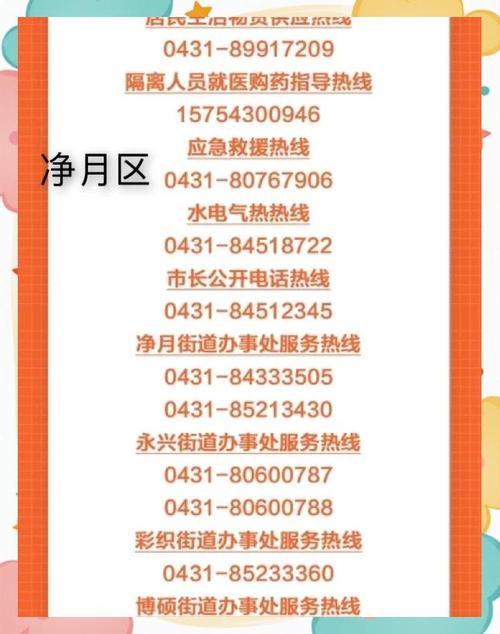 长春疫情数据最新逐日查询全攻略