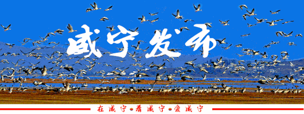 泉州疫情最新动态追踪