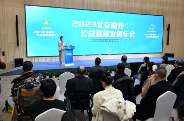 公益慈善：为社会注入温暖，多视角阐述其内涵与发展历程
