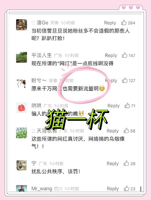 揭秘涨粉丝1元1000个僵尸粉背后的真相与风险