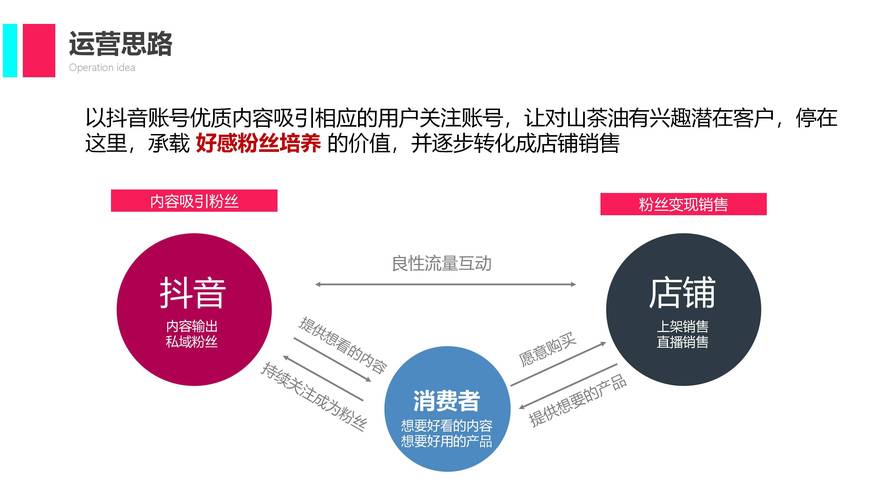 最新，抖音生态评论互动与粉丝运营价值策略全解析