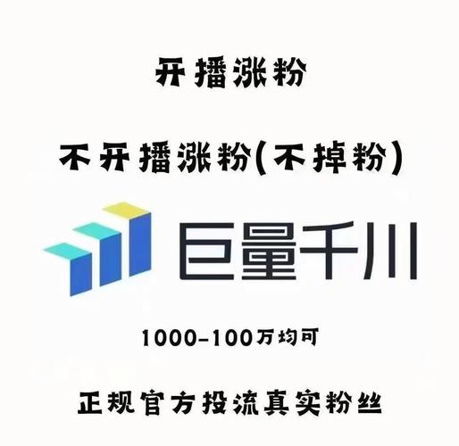 抖音涨粉新利器，专业网址助力账号快速突破粉丝瓶颈