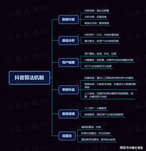 抖音涨点赞新策略曝光，内容创新与算法优化双轮驱动