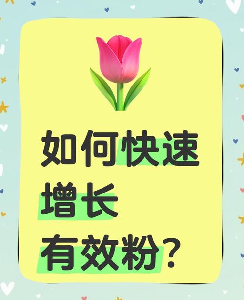 抖音涨粉秘籍大公开，精准策略助你快速突破粉丝瓶颈