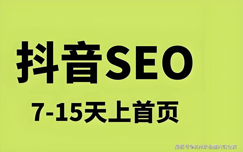 抖音粉丝业务新突破，24小时低价链接服务引领行业新风尚