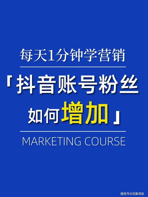 抖音粉丝业务网站崛起，专业服务助力账号快速成长
