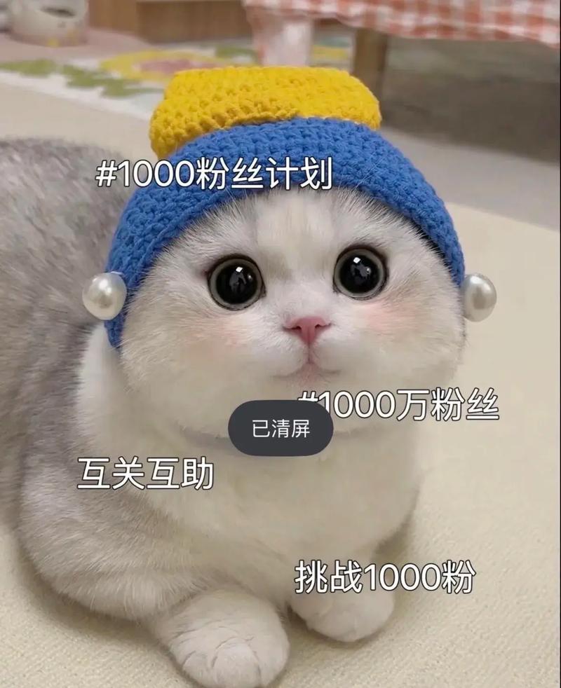 抖音点赞突破千次大关，专业策略助力创作者快速吸粉
