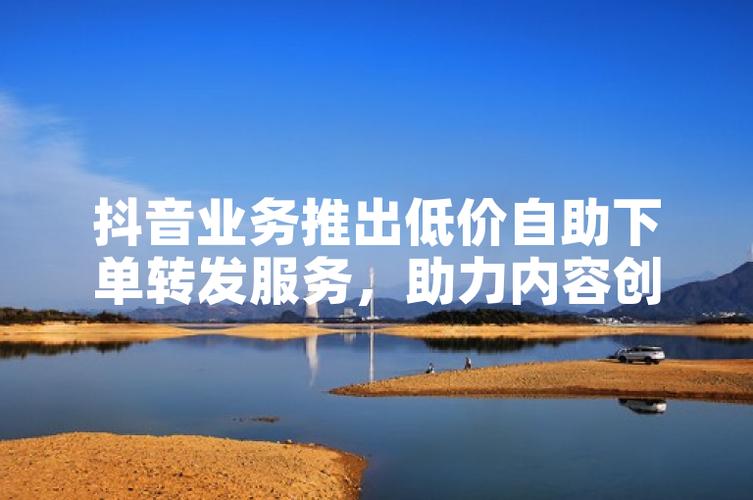抖音粉丝自助平台创新服务模式，助力创作者高效实现流量增长