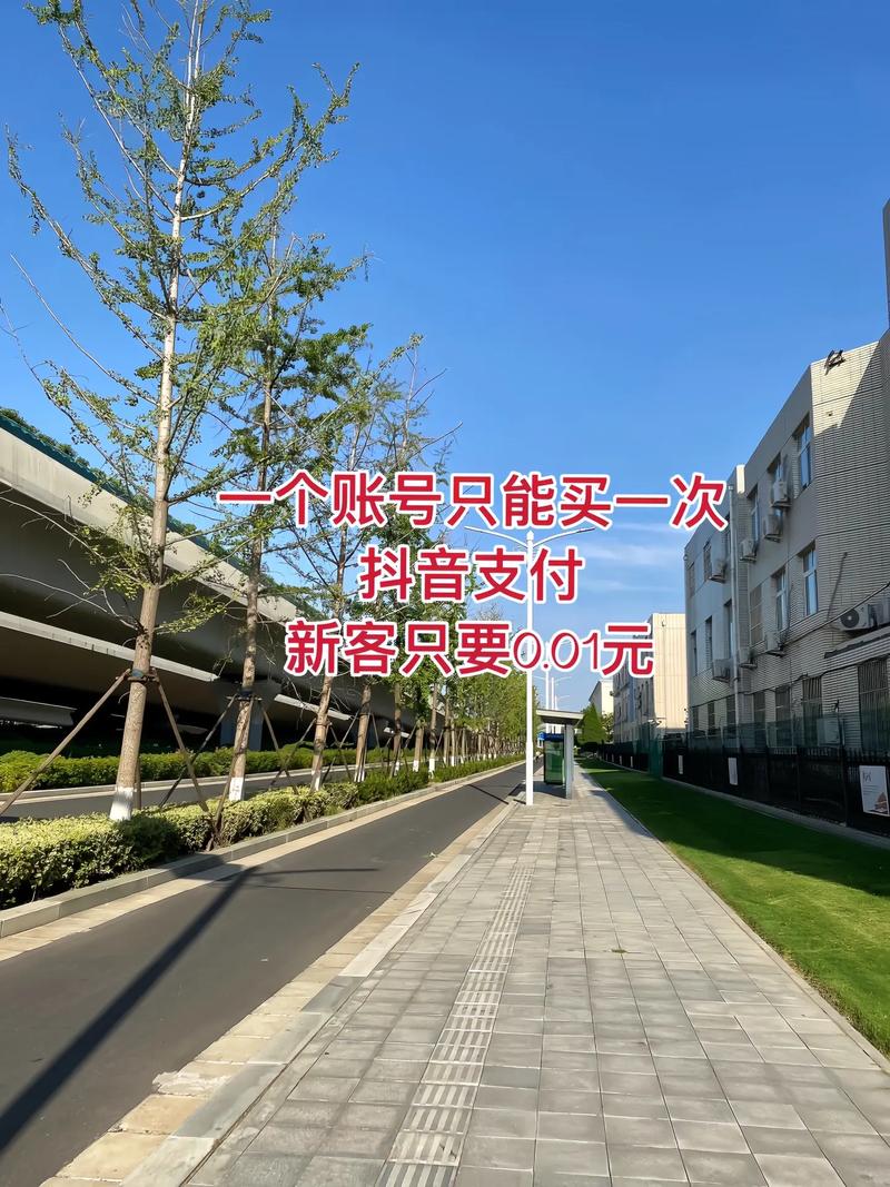 抖音粉丝业务下单新选择，低价优质服务助力账号快速成长
