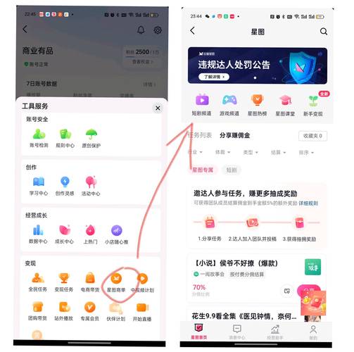抖音粉丝接任务平台APP崛起，开启短视频变现新纪元