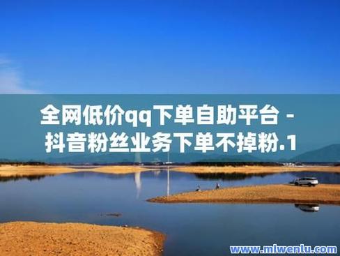抖音自助平台业务下单新突破，低价策略引领行业最便宜风潮