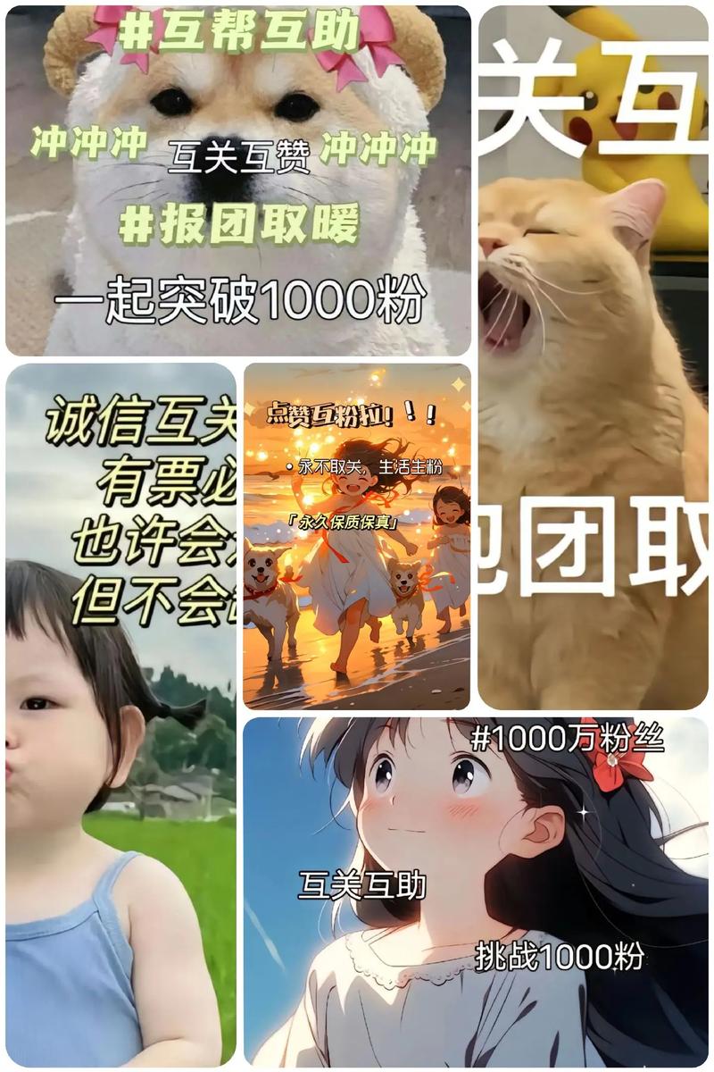 抖音涨粉丝新策略，1元1000粉丝服务引发行业热议