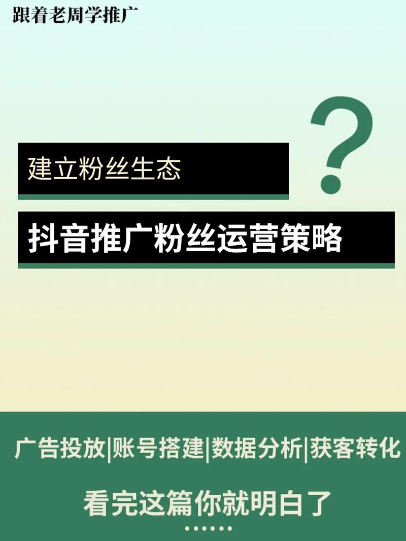 抖音粉丝平台网站崛起，赋能创作者生态，重构流量变现新格局