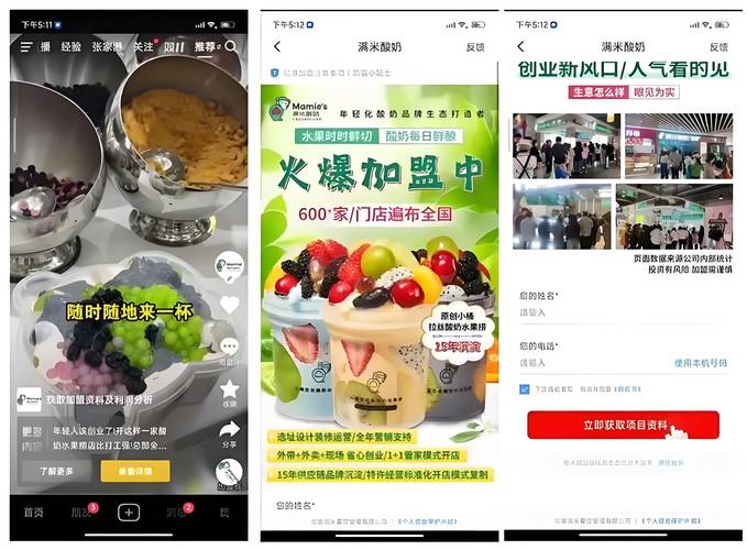 抖音粉丝24小时在线自助平台，赋能创作者的高效增长新引擎