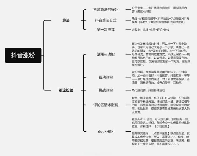 抖音涨粉秘籍大公开，高效策略助你快速积累粉丝群体