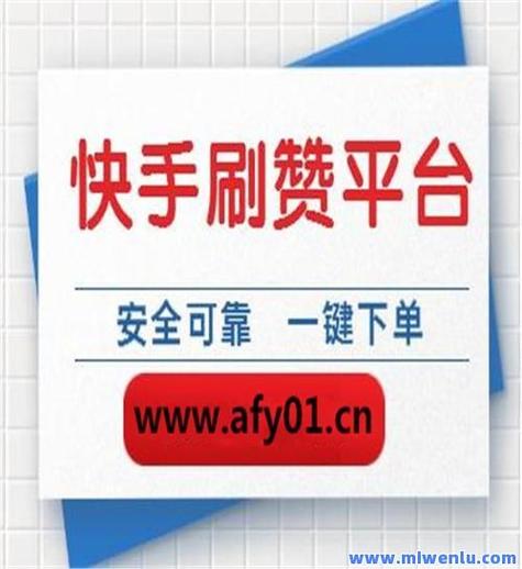 全网最稳最低价自助下单平台正式上线，重构行业服务新标杆