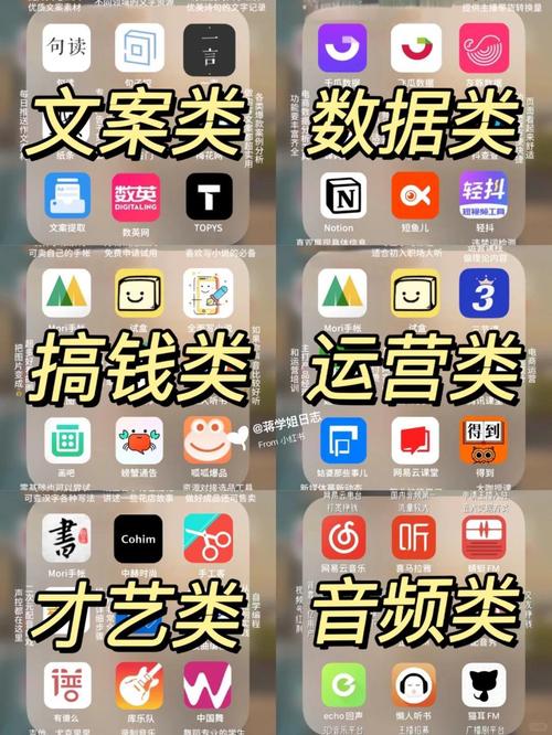 深度揭秘，低价涨粉平台如何重塑社交媒体营销新生态